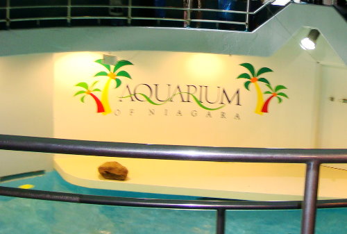 Niagara Aquarium